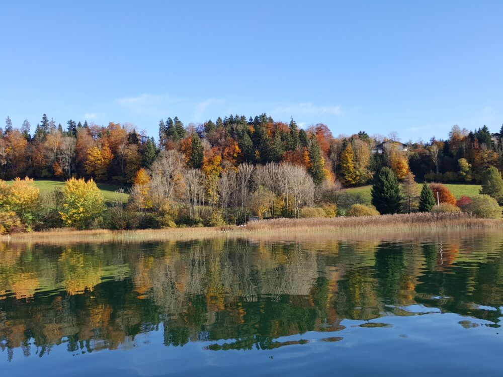 Lac de Saint-Point-Lac