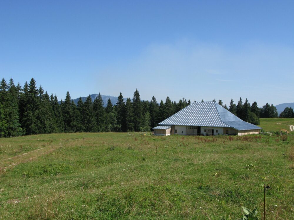 Ferme comtoise au cœur des pâturages