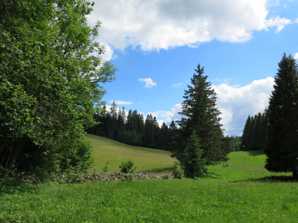 Paysage de la haute vallée du Doubs