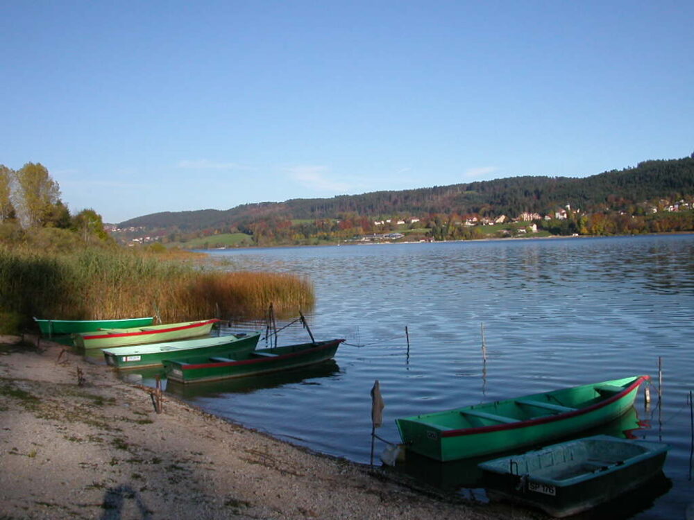 Le lac de Saint-Point