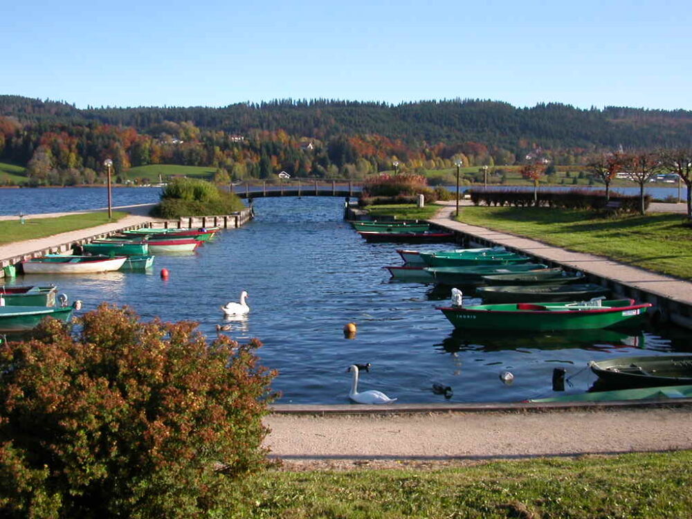 Port de Saint-Point-Lac