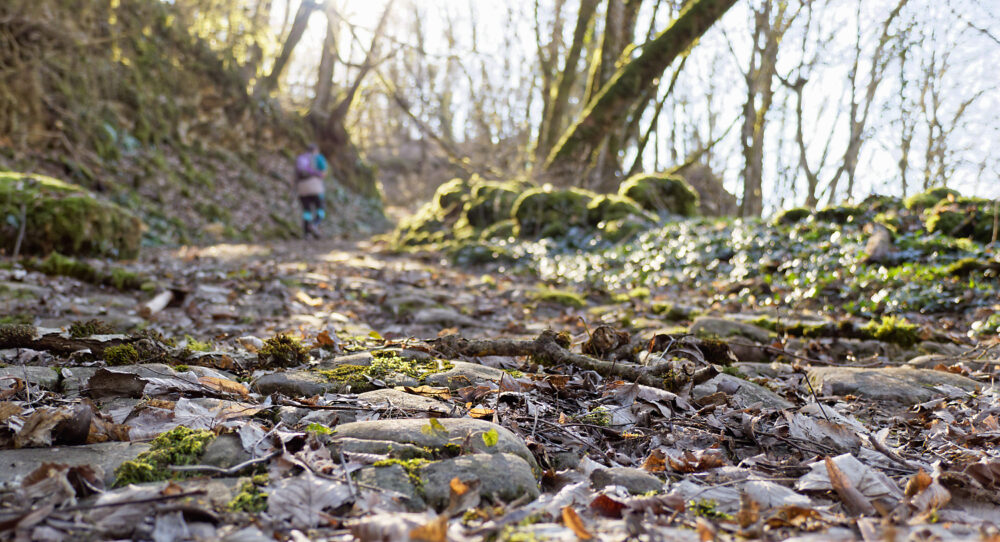 La voie romaine à Montagna-le-Reconduit