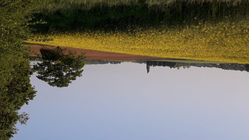 La campagne bressane 