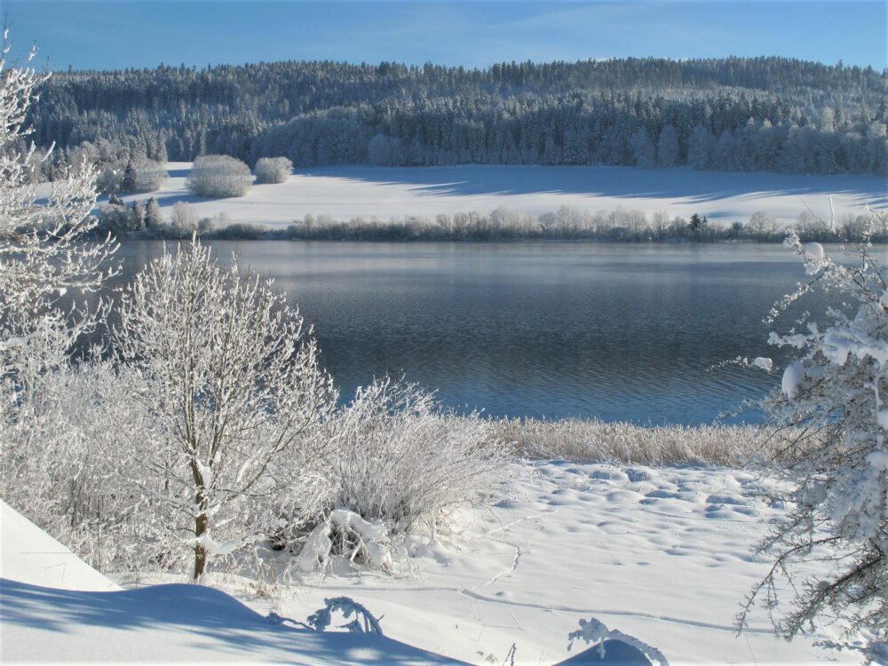 Lac gelé