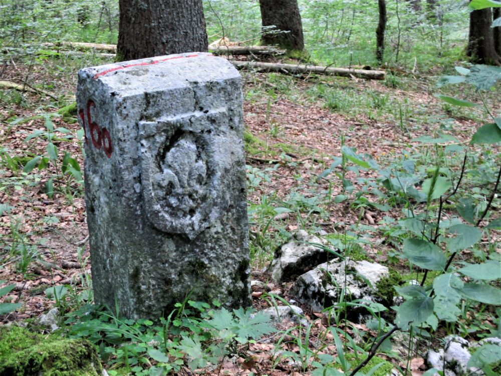 Borne dans la forêt