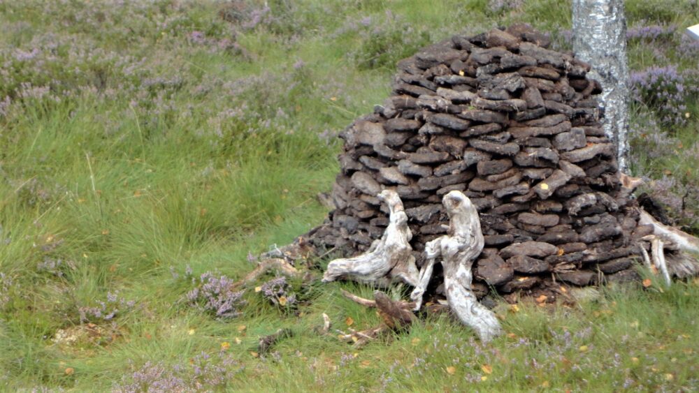 Tourbe en briquettes