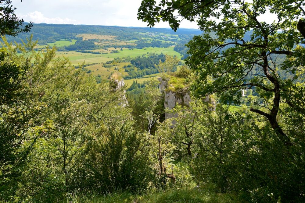 Vestiges de Château-Villain à Bourg-de-Sirod