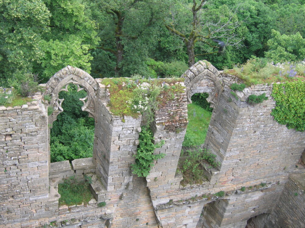 Dentelles de pierre