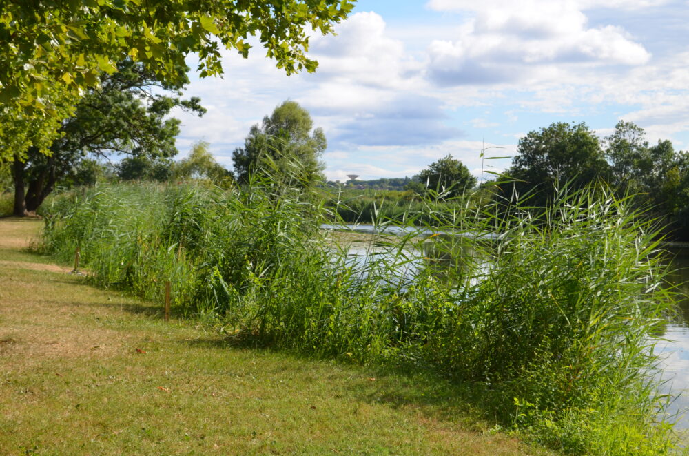 Zone Natura 2000