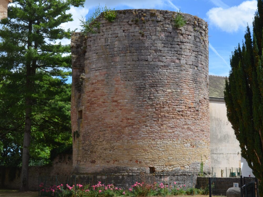 La tour, vestige du château