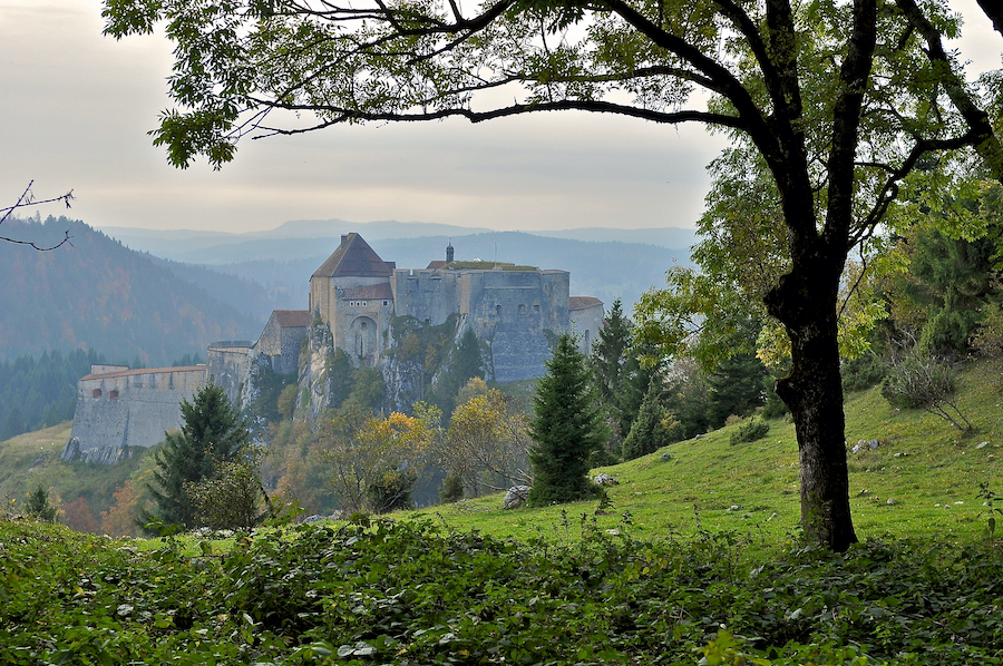 Le château de Joux