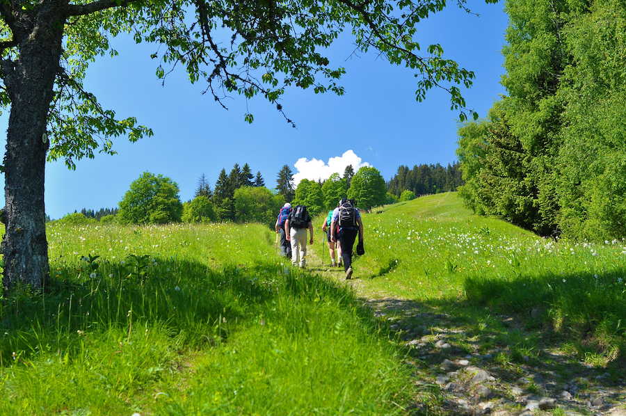 ViaCluny.fr Chemin de Cluny Bourgogne Franche-Comté nature randonnée découverte en balade