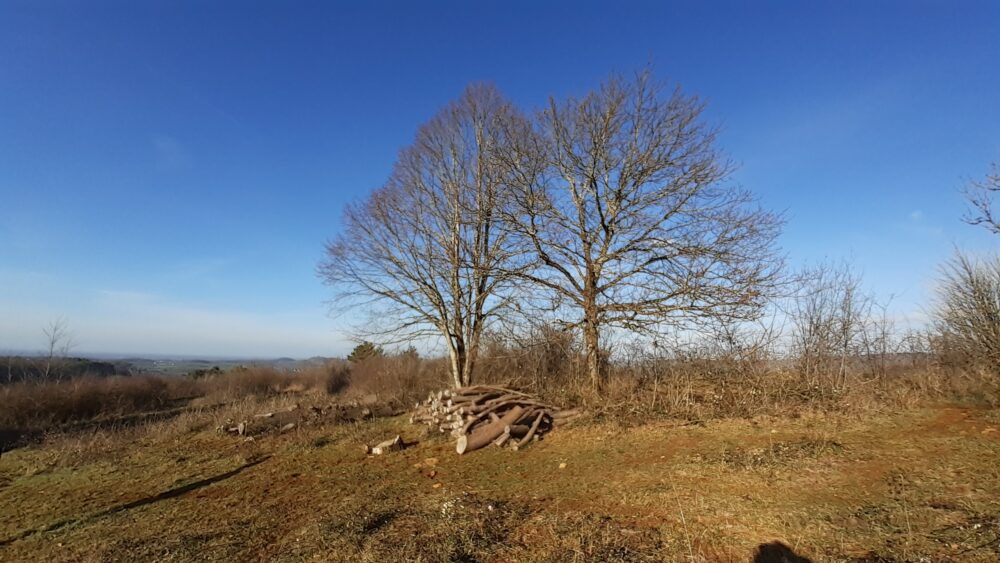 Vue hivernale du plateau de Mancy