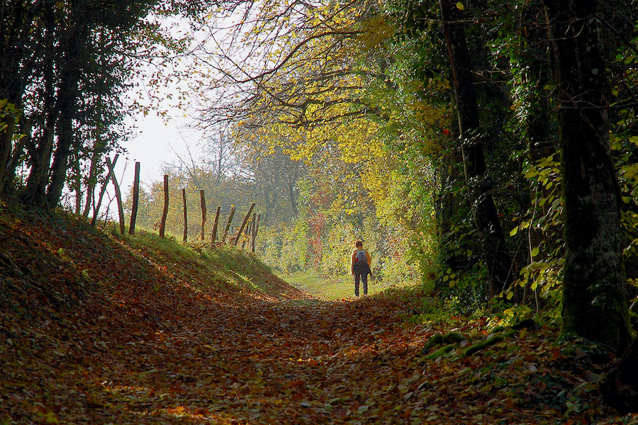 Sur le chemin