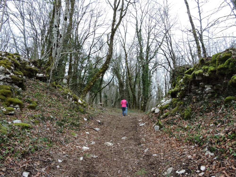 Un sentier aménagé pour accéder aux ruines du château et aux points de vue