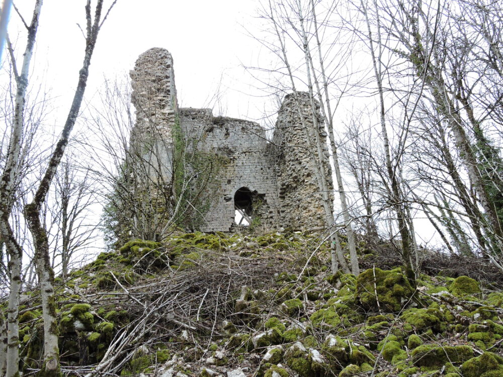 Donjon du château de Montrond