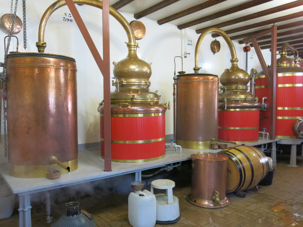 Les alambics de la distillerie Guy