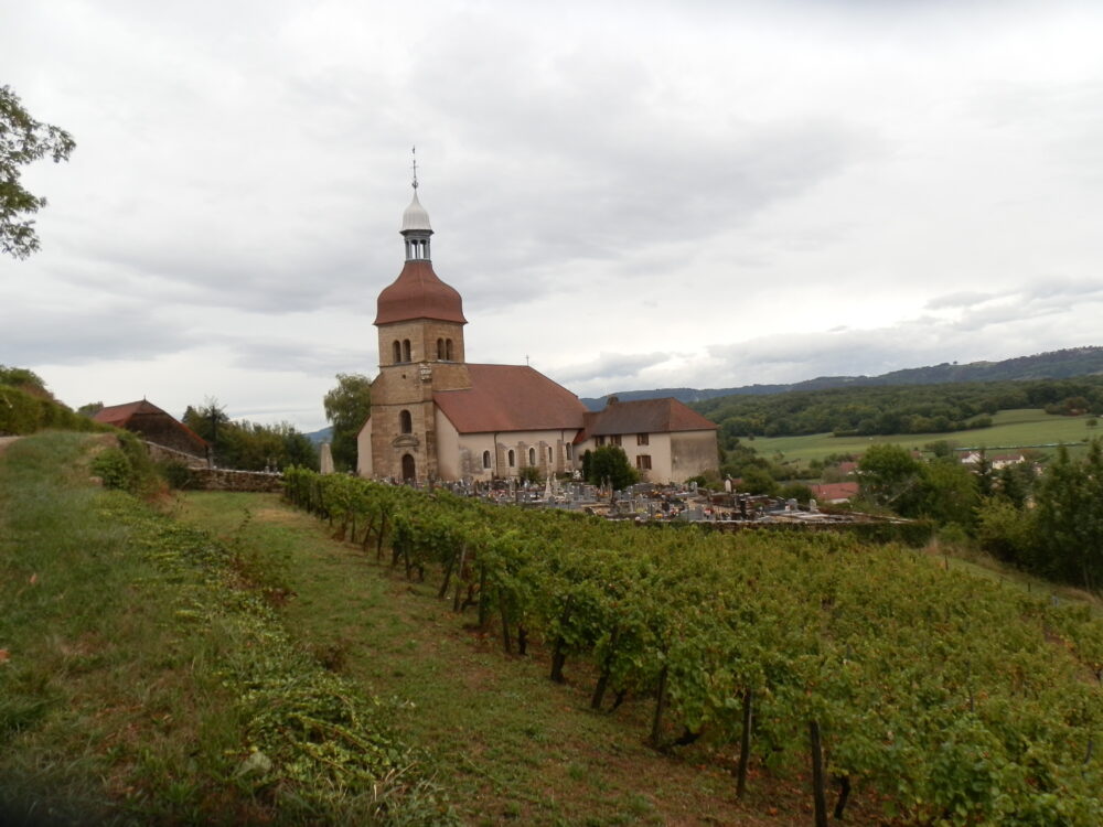 Au cœur du vignoble