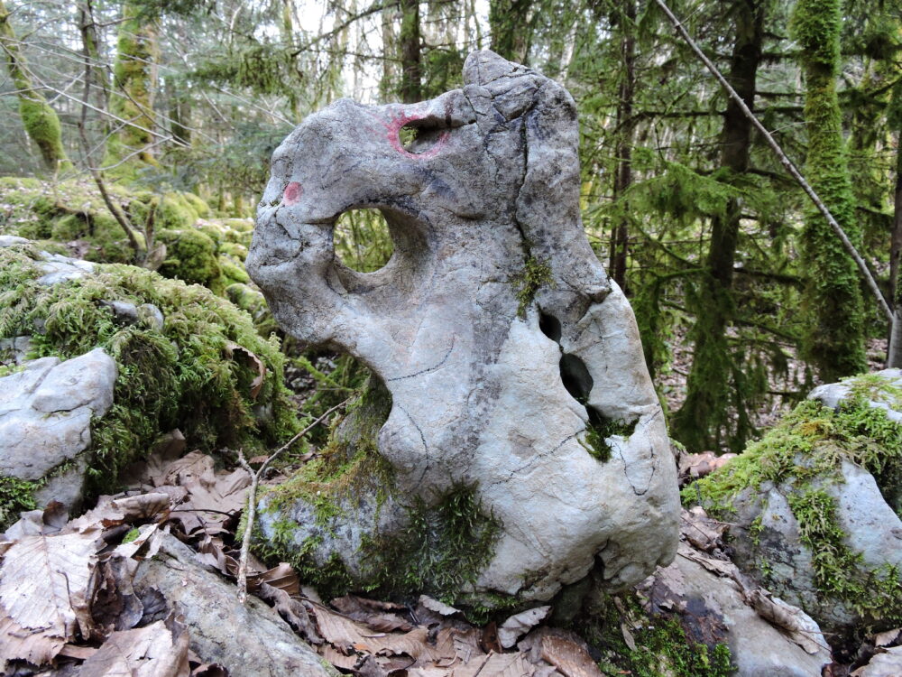 Le long du sentier karstique