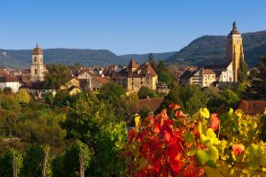 Au cœur des vignes