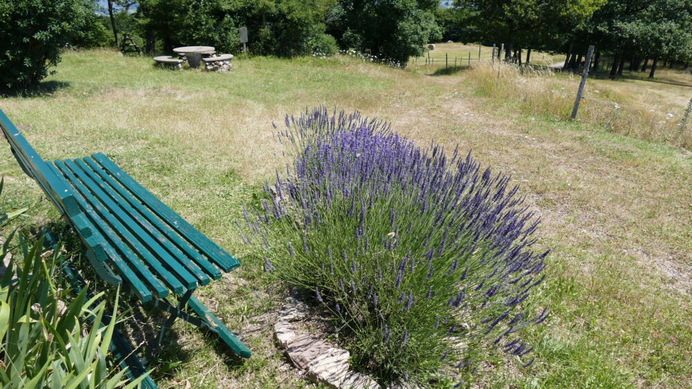 Une halte au Mont Saint-Romain