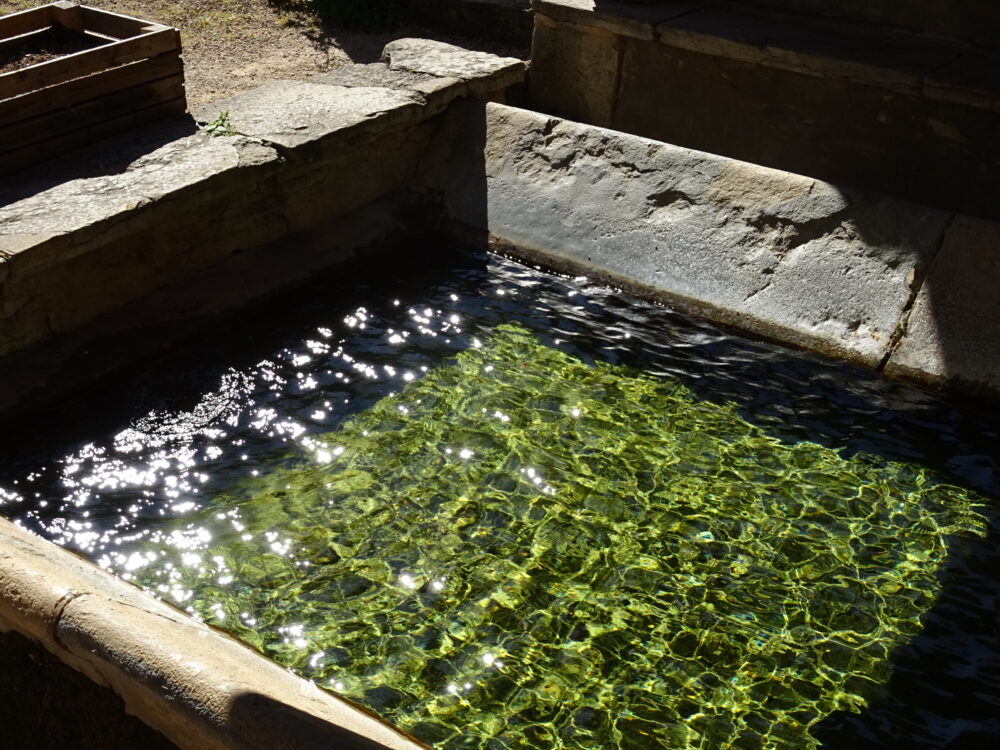 Arrêt au lavoir
