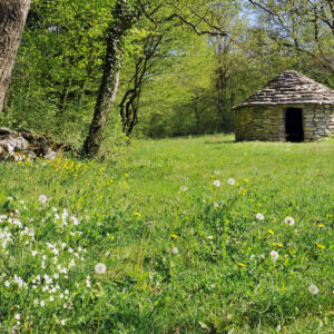 ViaCluny.fr Jura Sud Revermont patrimoine villages tourisme vignoble