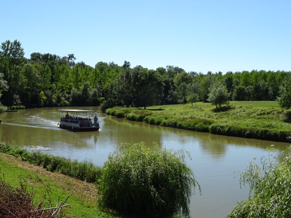 La Réserve naturelle de la Truchère