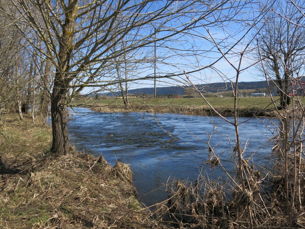 Le Drugeon près de sa confluence avec le Doubs