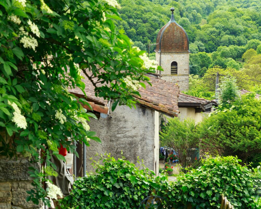 Montagna-le-Reconduit