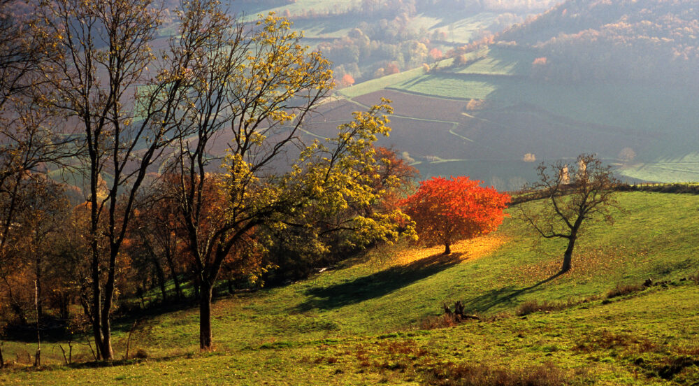 Paysag ed'automne