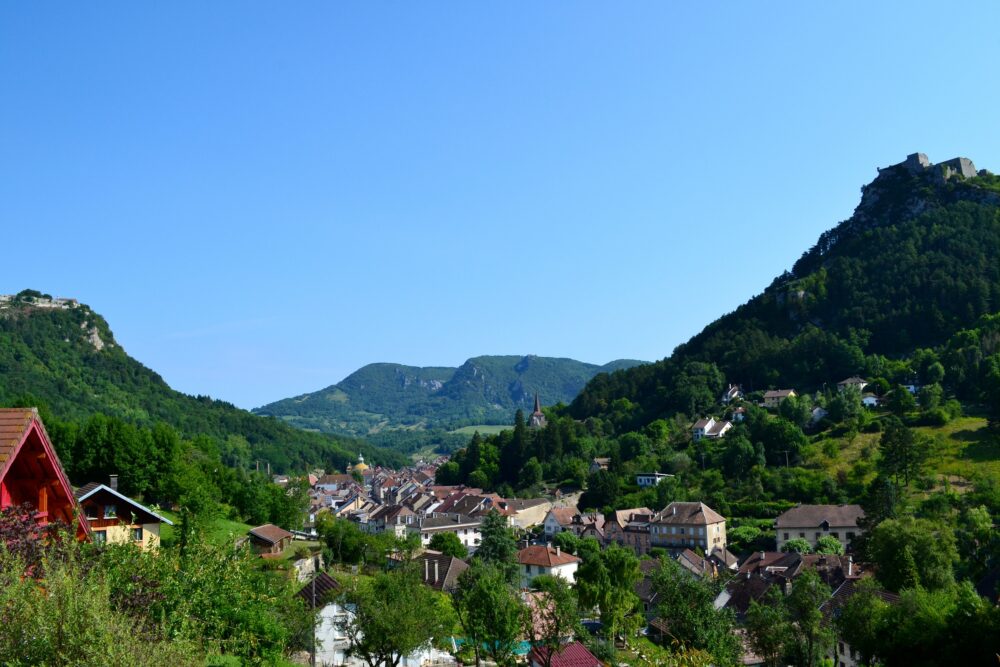 La ville de Salins et ses deux forts