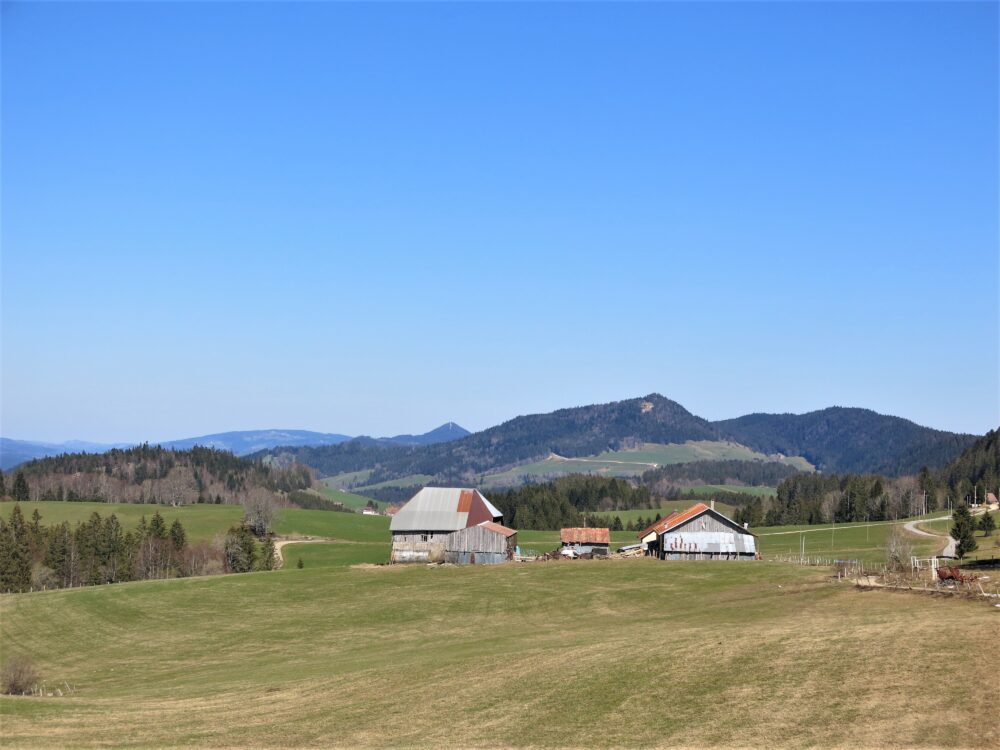 Les rochers du cerf et le Mont Châteleu