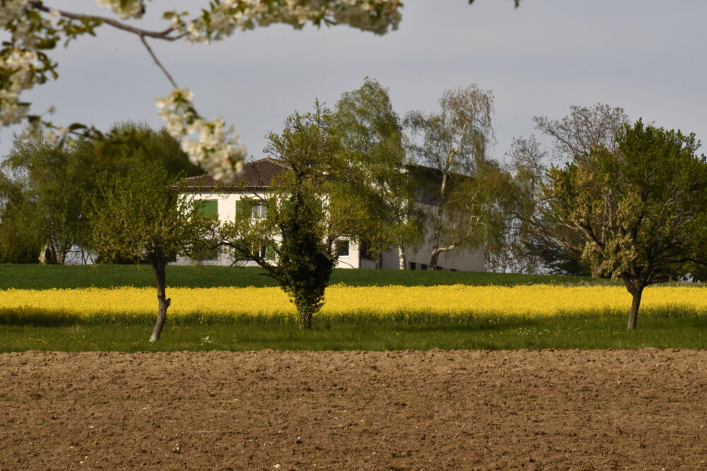 L'ancien prieuré de Bevaix