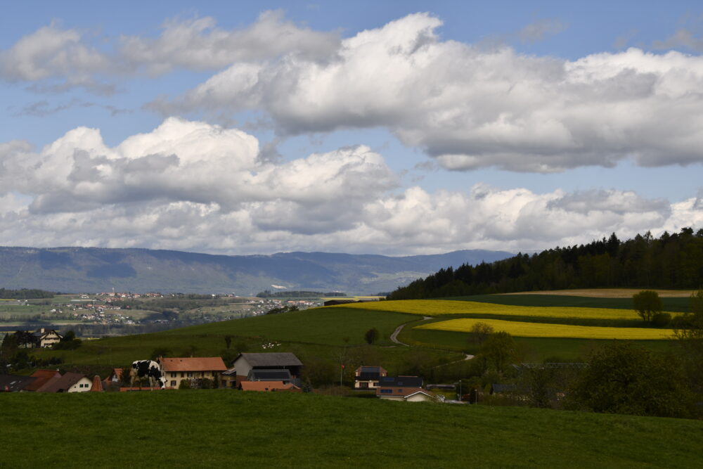 Vue sur l'Orbe