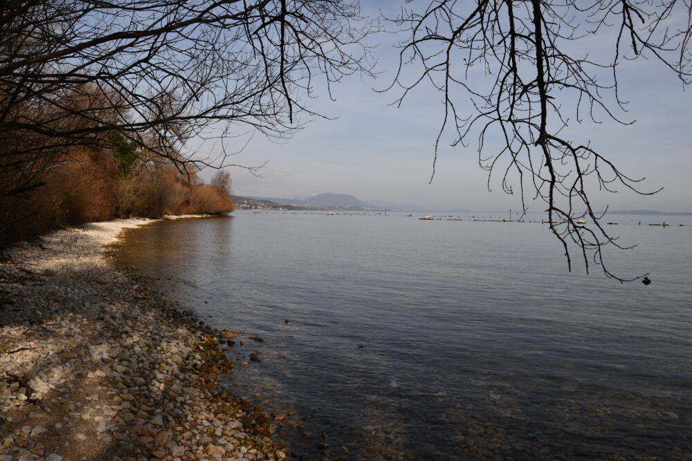 La plage de Vaumarcus