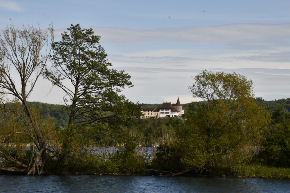 Le château-musée d'Erlach