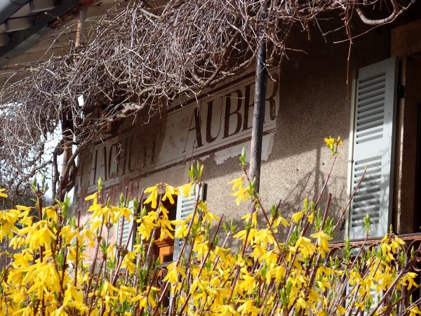 Blanot - Crédits Jean-Luc Maréchal