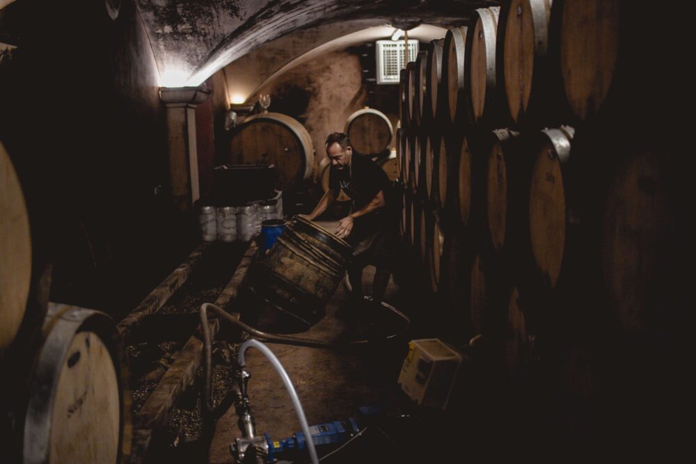 Dans les caves des Vignes du Maynes